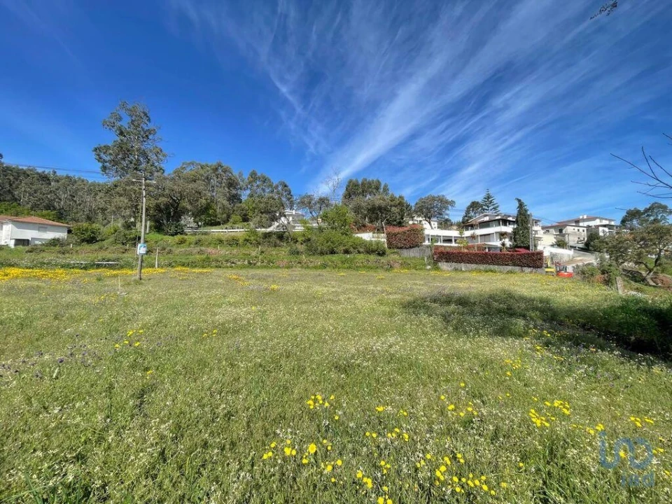 Terreno para Venda em Campo e Tamel (São Pedro Fins) Foto 5