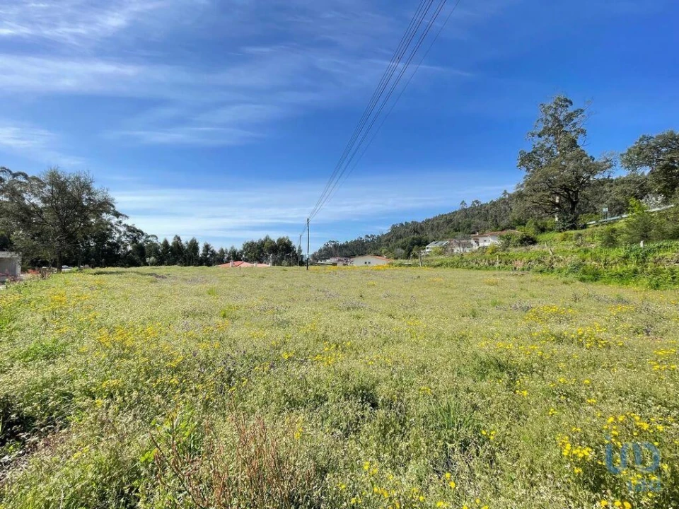 Terreno para Venda em Campo e Tamel (São Pedro Fins) Foto 6