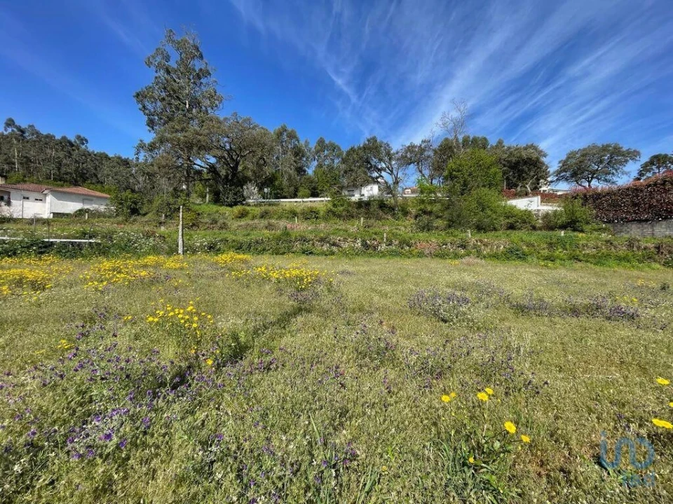 Terreno para Venda em Campo e Tamel (São Pedro Fins) Foto 2