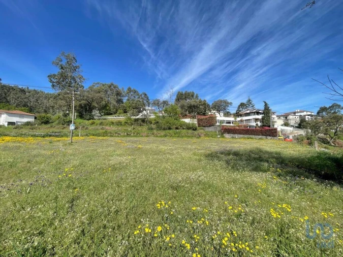 Terreno para Venda em Campo e Tamel (São Pedro Fins) Foto 5