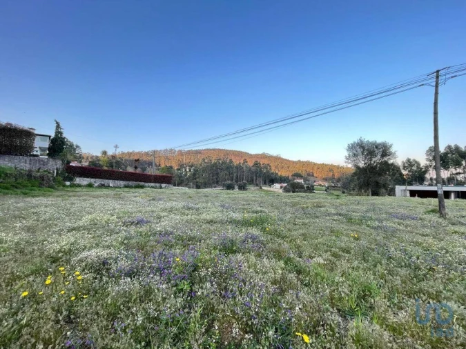 Terreno para Venda em Campo e Tamel (São Pedro Fins) Foto 7