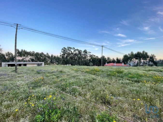 Terreno para Venda em Campo e Tamel (São Pedro Fins) Foto 8