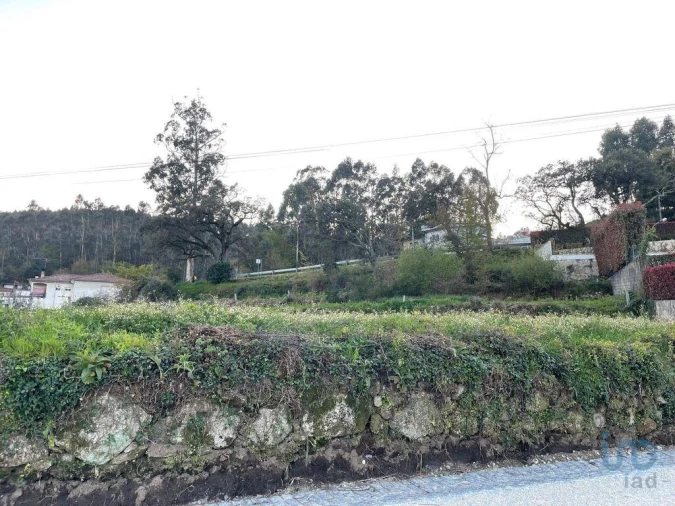 Terreno para Venda em Campo e Tamel (São Pedro Fins) Foto 10