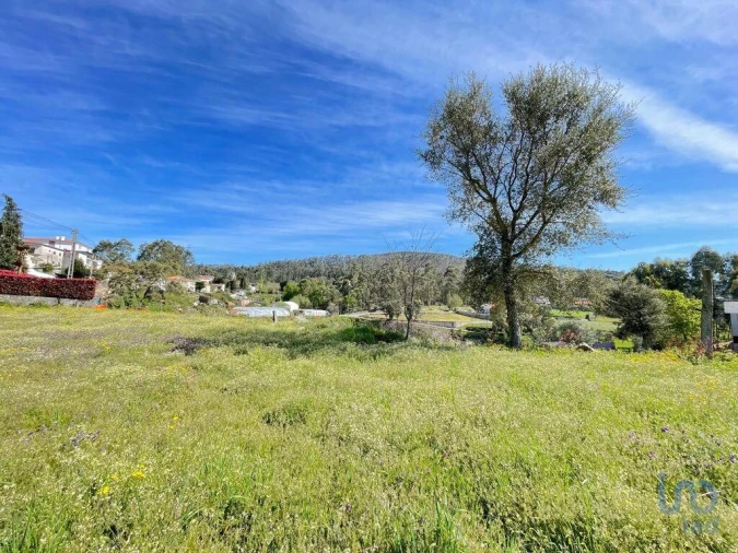 Terreno para Venda em Campo e Tamel (São Pedro Fins) Foto 4