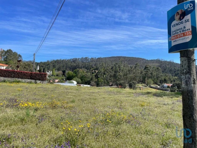 Terreno para Venda em Campo e Tamel (São Pedro Fins) Foto 1