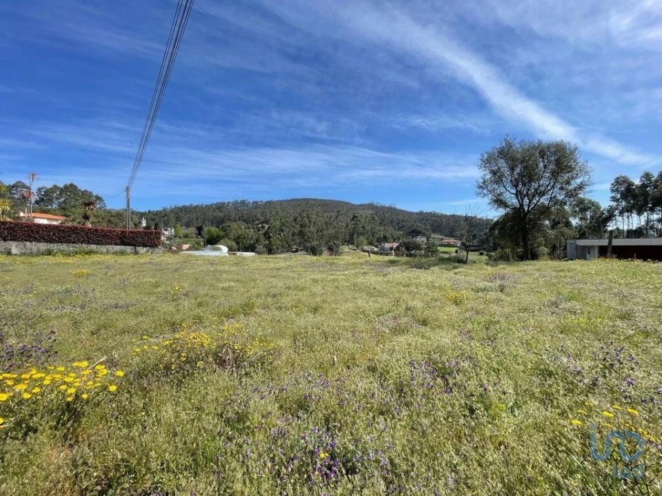 Terreno para Venda em Campo e Tamel (São Pedro Fins) Foto 3