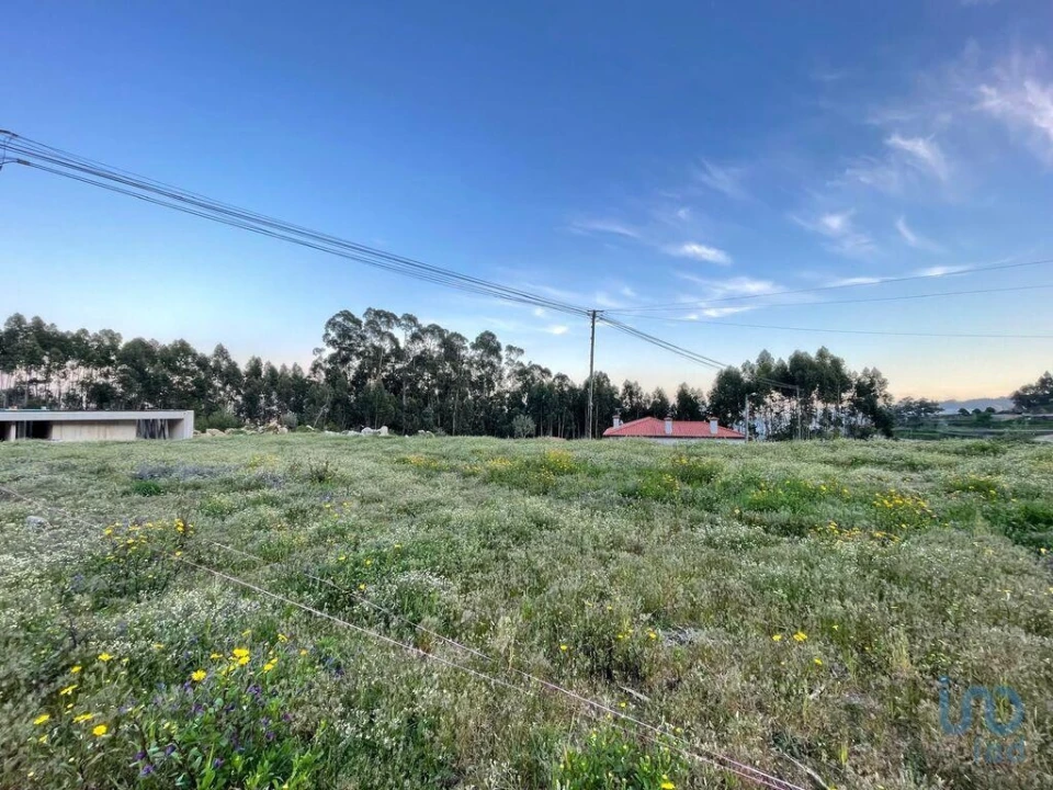 Terreno para Venda em Campo e Tamel (São Pedro Fins) Foto 9
