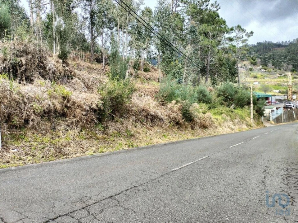 Terreno para Venda em Canhas Foto 3