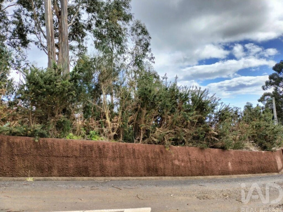 Terreno para Venda em Canhas Foto 19