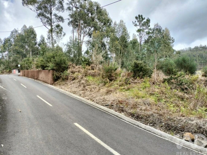 Terreno para Venda em Canhas Foto 16