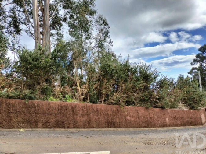 Terreno para Venda em Canhas Foto 19