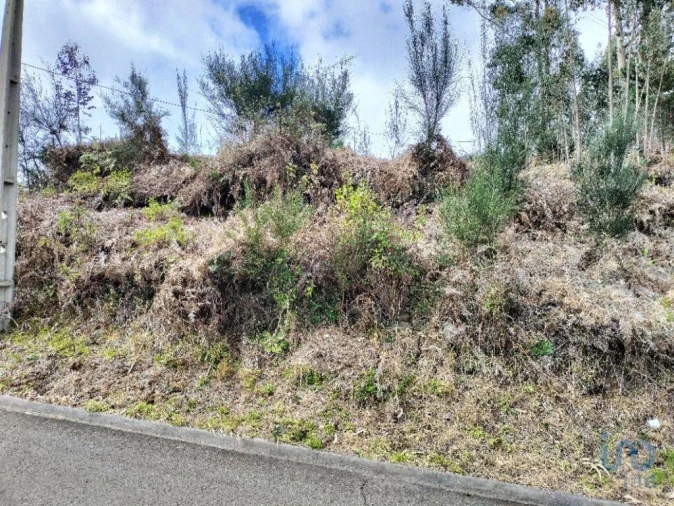 Terreno para Venda em Canhas Foto 8