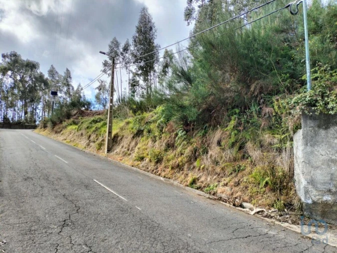 Terreno para Venda em Canhas Foto 10