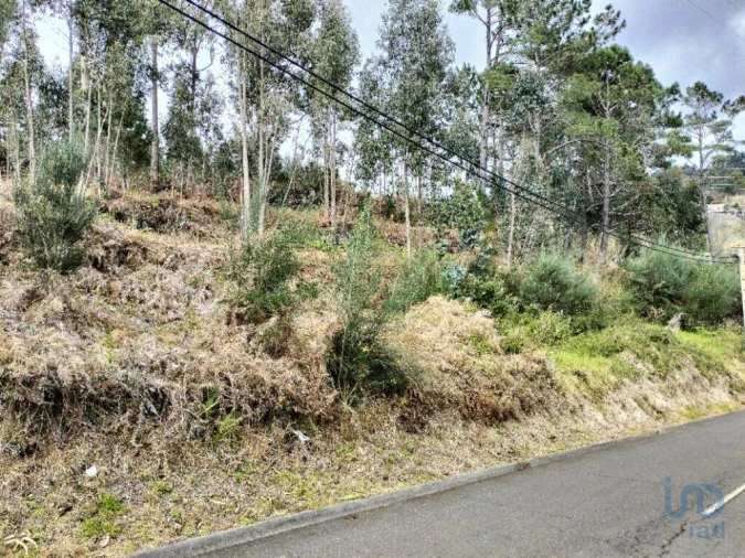 Terreno para Venda em Canhas Foto 5
