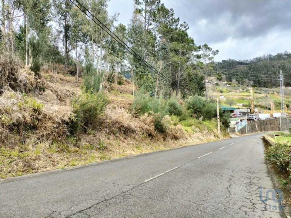 Terreno para Venda em Canhas Foto 4