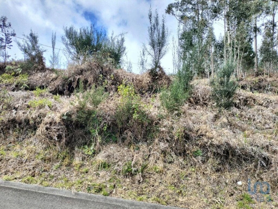 Terreno para Venda em Canhas Foto 7
