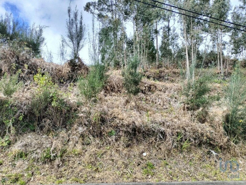 Terreno para Venda em Canhas Foto 6