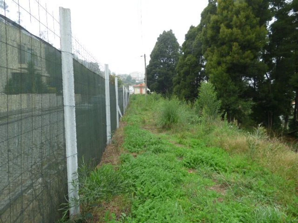 Terreno Misto para Venda em Oliveira do Douro Foto 3