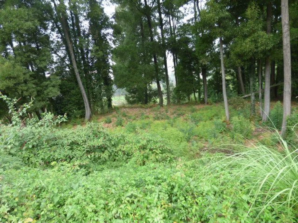 Terreno Misto para Venda em Oliveira do Douro Foto 4