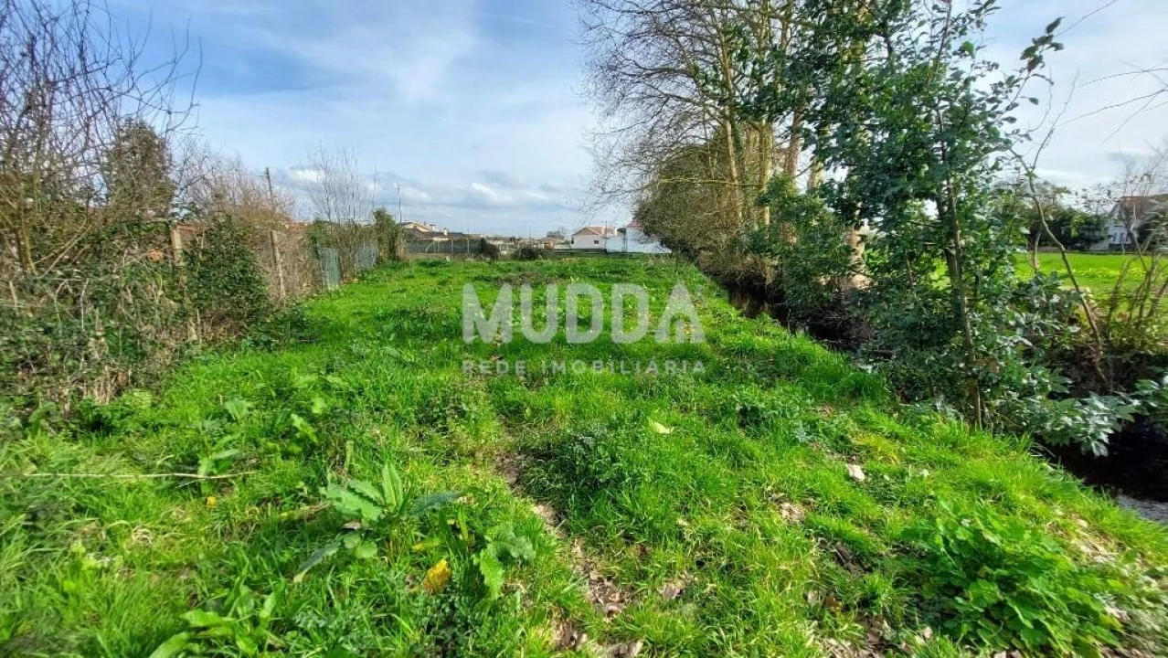 Terreno para Venda em Pardilho Foto 3