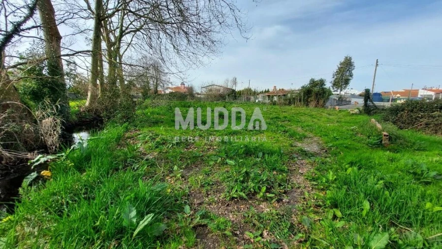 Terreno para Venda em Pardilho Foto 2