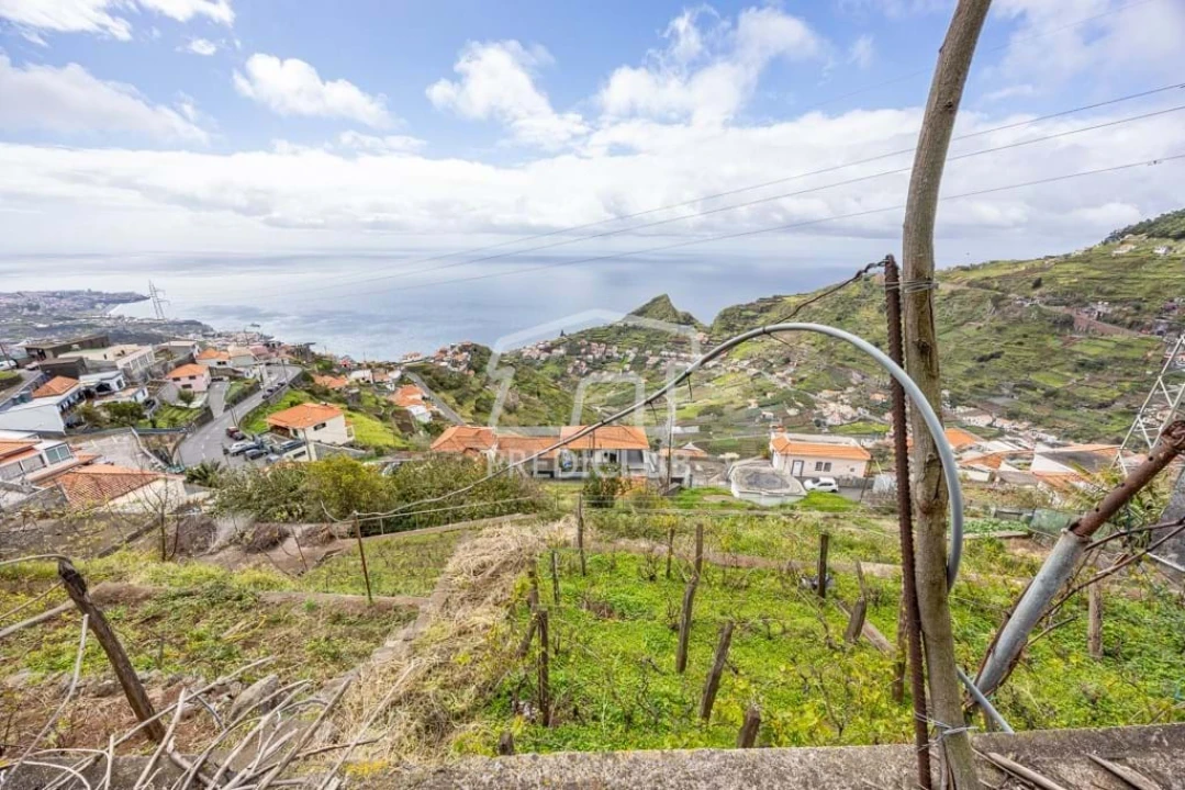 Terreno Agricola ou Rústico para Venda em Camara de Lobos Foto 12