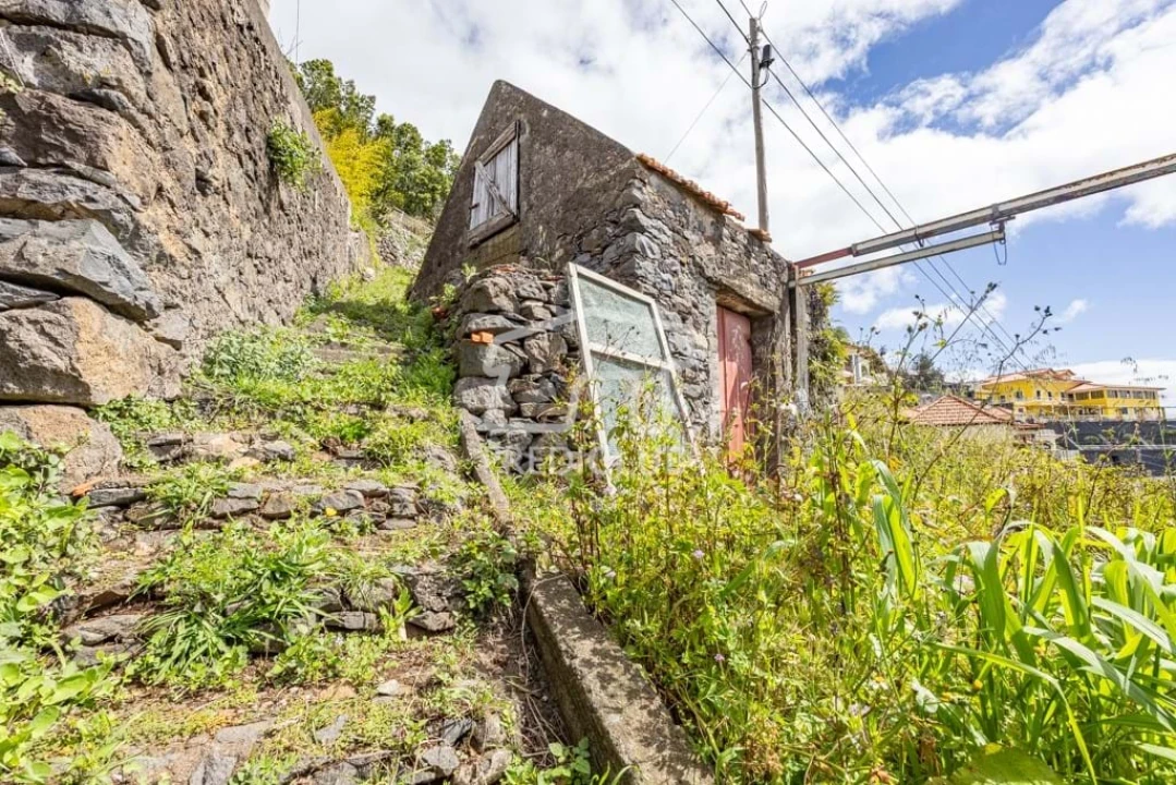 Terreno Agricola ou Rústico para Venda em Camara de Lobos Foto 2