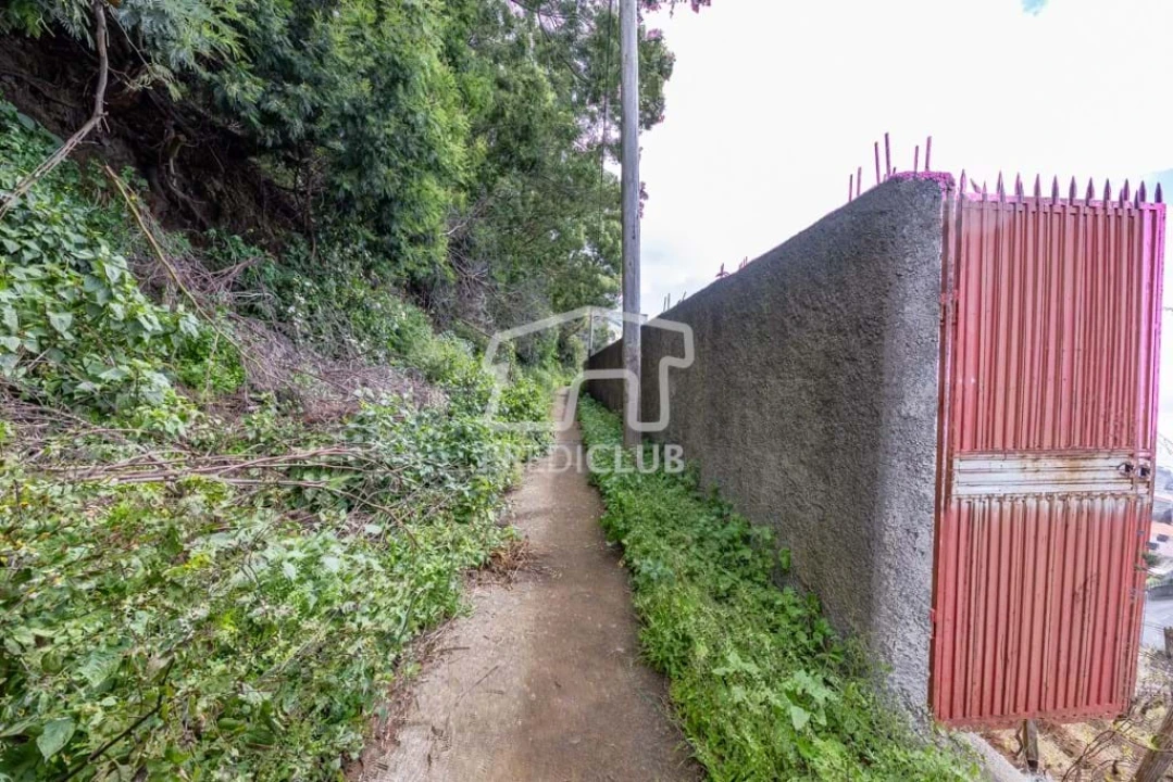 Terreno Agricola ou Rústico para Venda em Camara de Lobos Foto 10