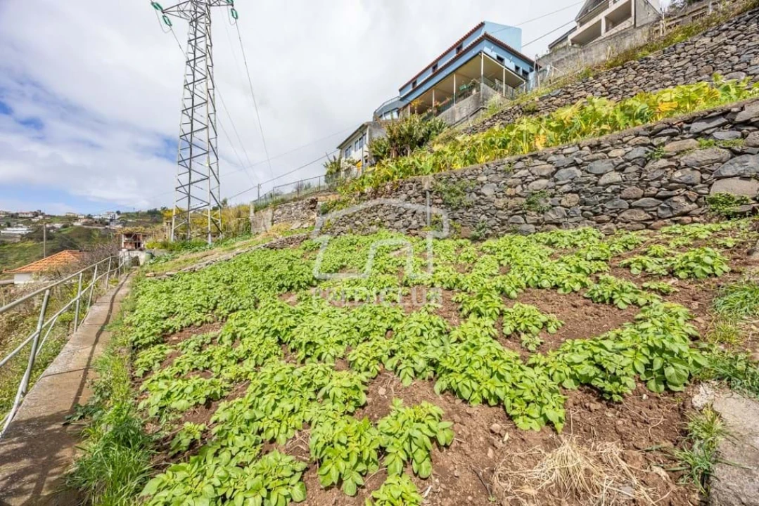 Terreno Agricola ou Rústico para Venda em Camara de Lobos Foto 8