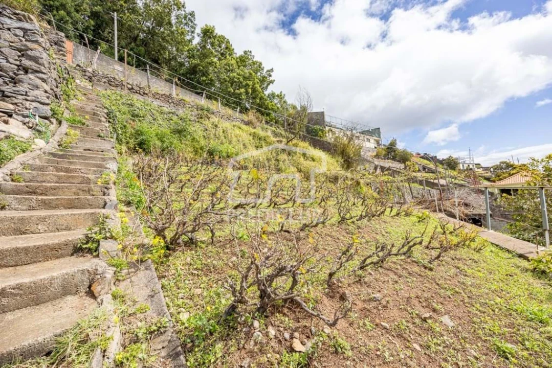 Terreno Agricola ou Rústico para Venda em Camara de Lobos Foto 9