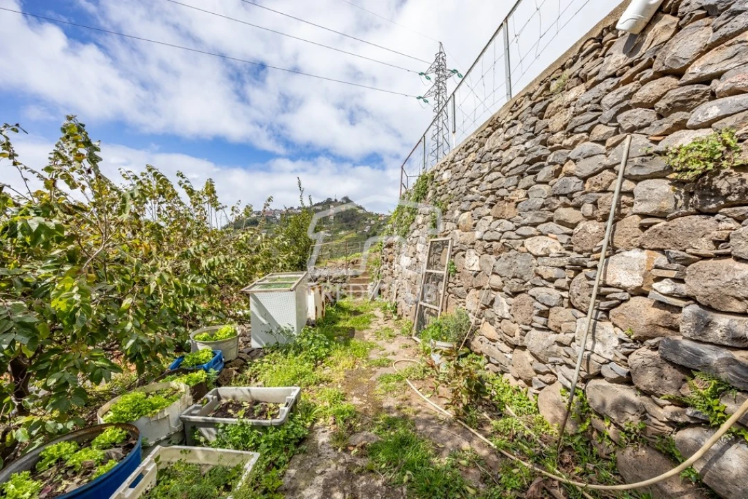 Terreno Agricola ou Rústico para Venda em Camara de Lobos Foto 7