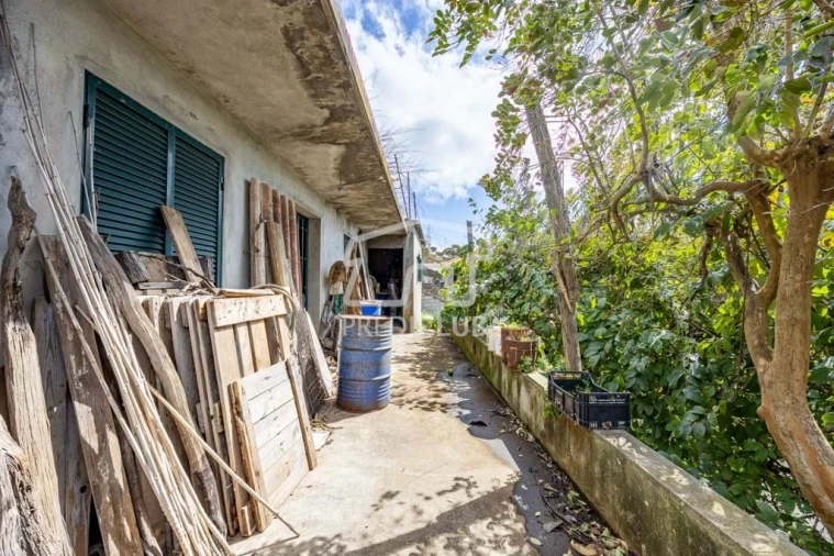 Terreno Agricola ou Rústico para Venda em Camara de Lobos Foto 6