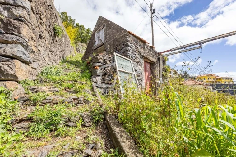 Terreno Agricola ou Rústico para Venda em Camara de Lobos Foto 2