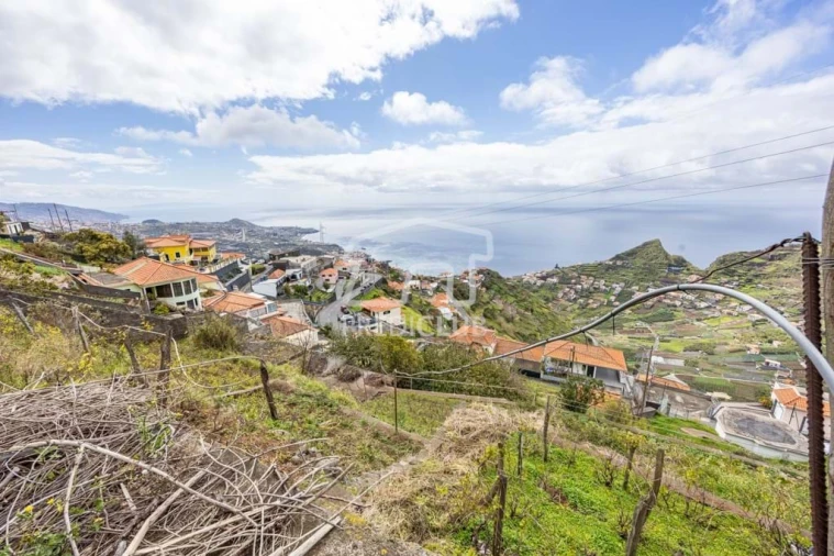 Terreno Agricola ou Rústico para Venda em Camara de Lobos Foto 11