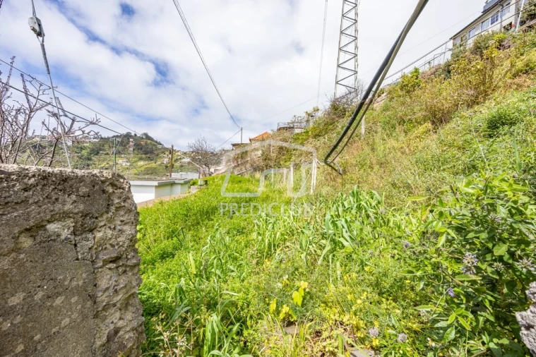 Terreno Agricola ou Rústico para Venda em Camara de Lobos Foto 4