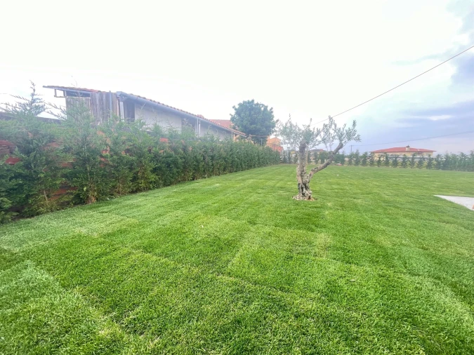 Moradia T3 para Venda em Cortegaça Foto 31