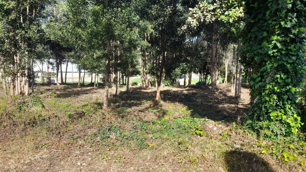 Terreno para Venda em Vilar de Mouros Foto 8