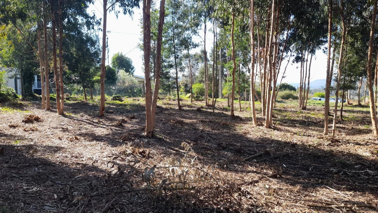Terreno para Venda em Vilar de Mouros Foto 10