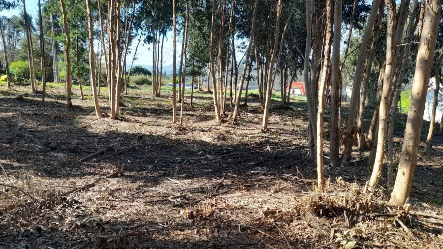 Terreno para Venda em Vilar de Mouros Foto 11
