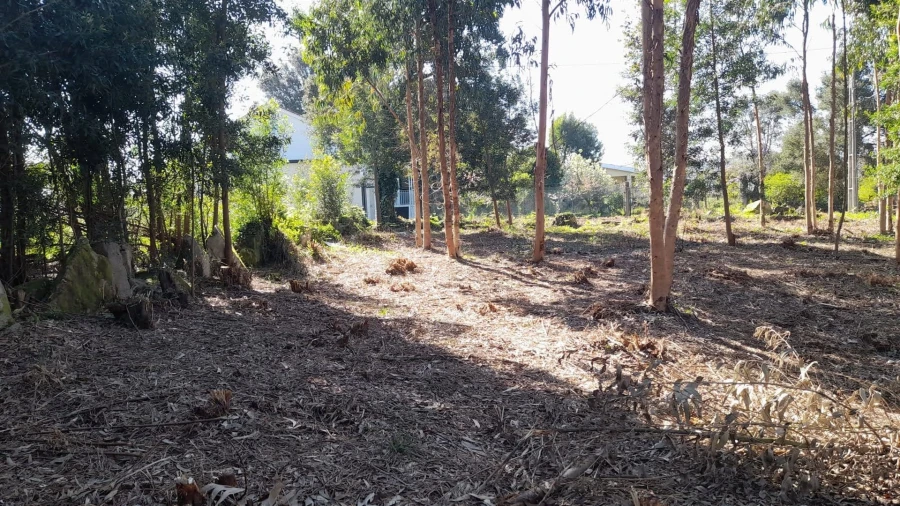 Terreno para Venda em Vilar de Mouros Foto 9