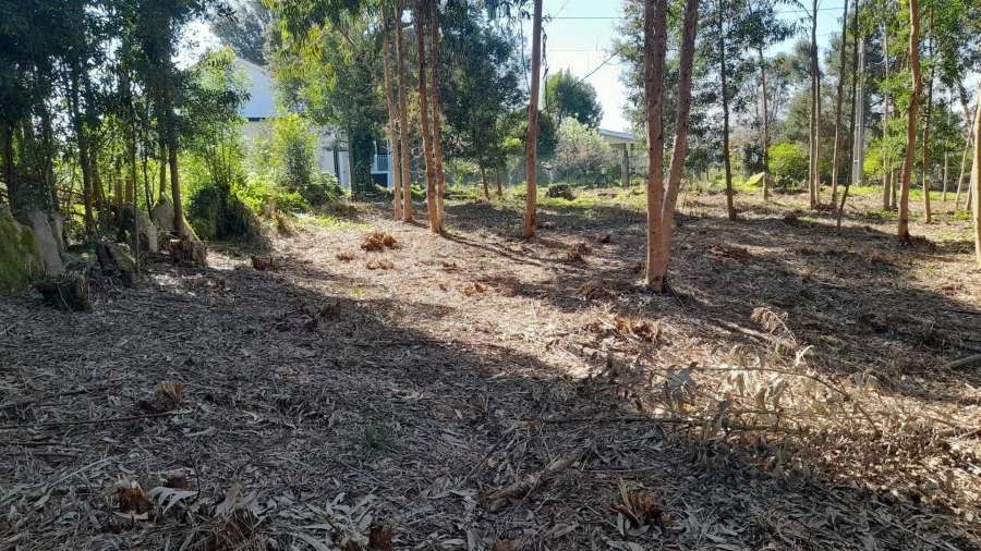 Terreno para Venda em Vilar de Mouros Foto 12