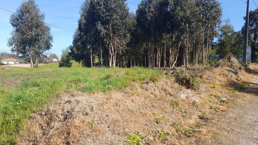 Terreno para Venda em Vilar de Mouros Foto 4