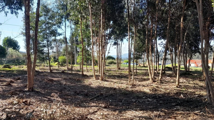 Terreno para Venda em Vilar de Mouros Foto 13