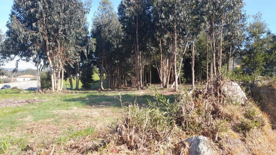 Terreno para Venda em Vilar de Mouros Foto 3