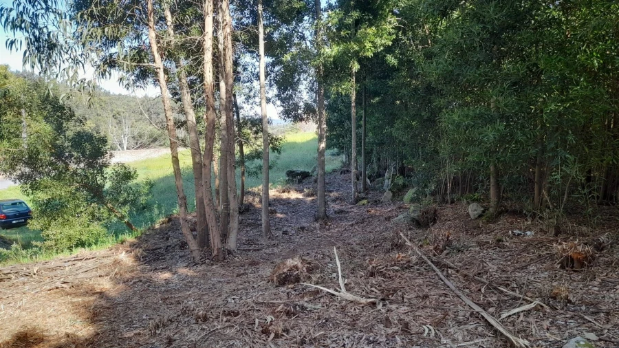 Terreno para Venda em Vilar de Mouros Foto 14