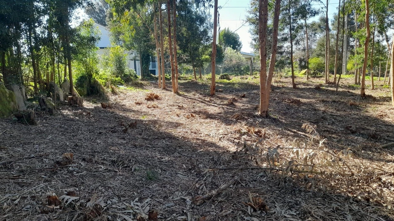 Terreno para Venda em Vilar de Mouros Foto 12