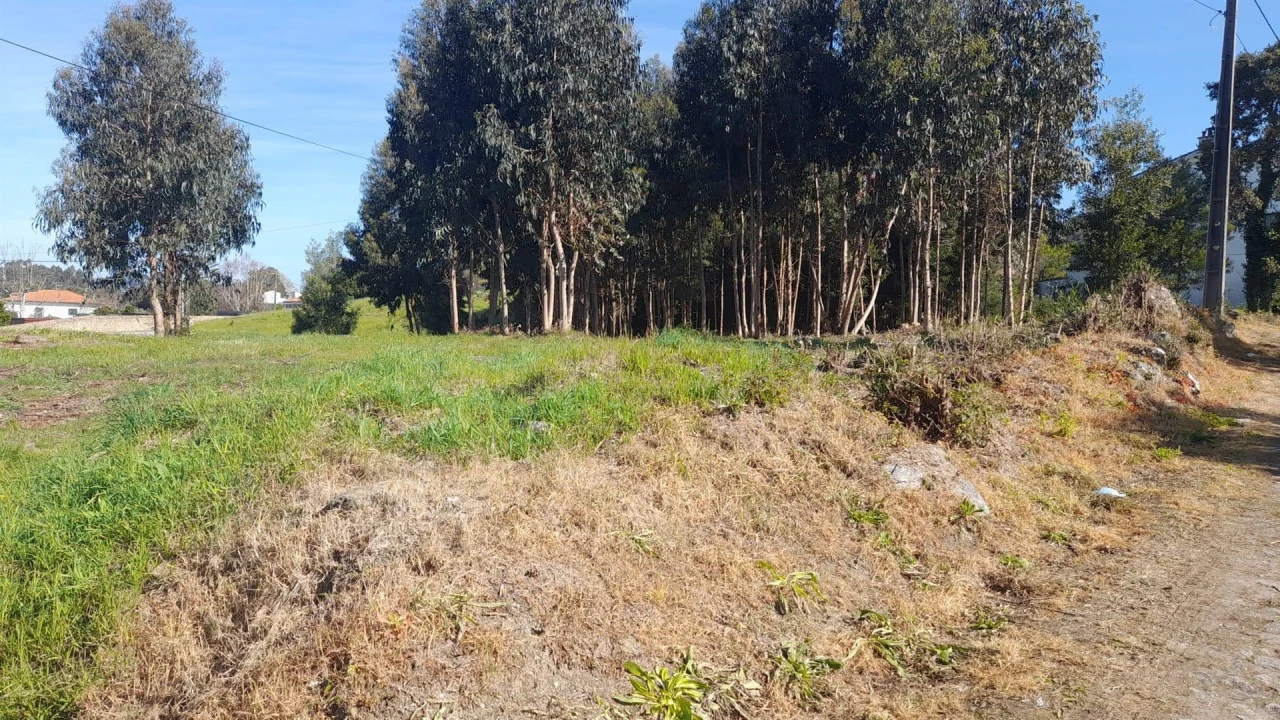 Terreno para Venda em Vilar de Mouros Foto 4