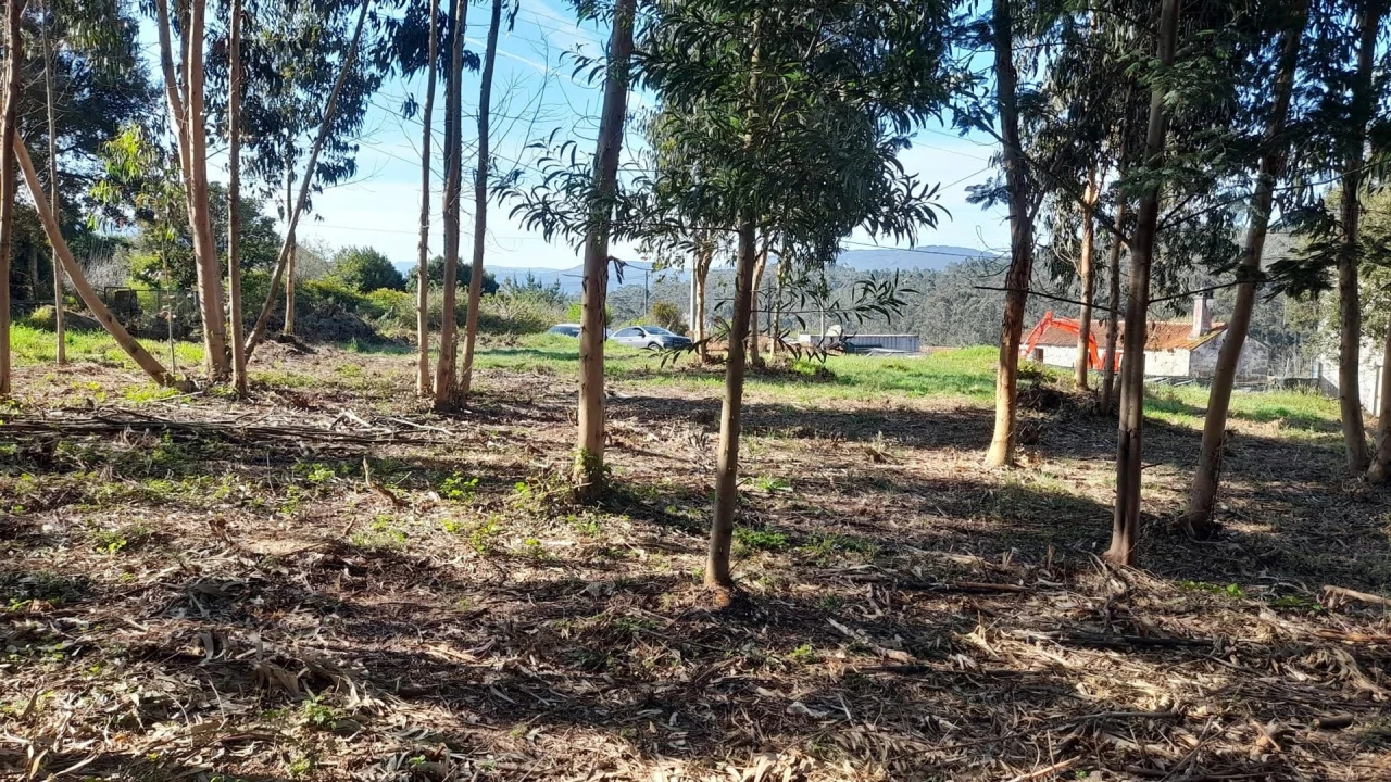 Terreno para Venda em Vilar de Mouros Foto 15