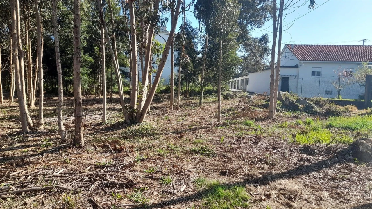 Terreno para Venda em Vilar de Mouros Foto 18