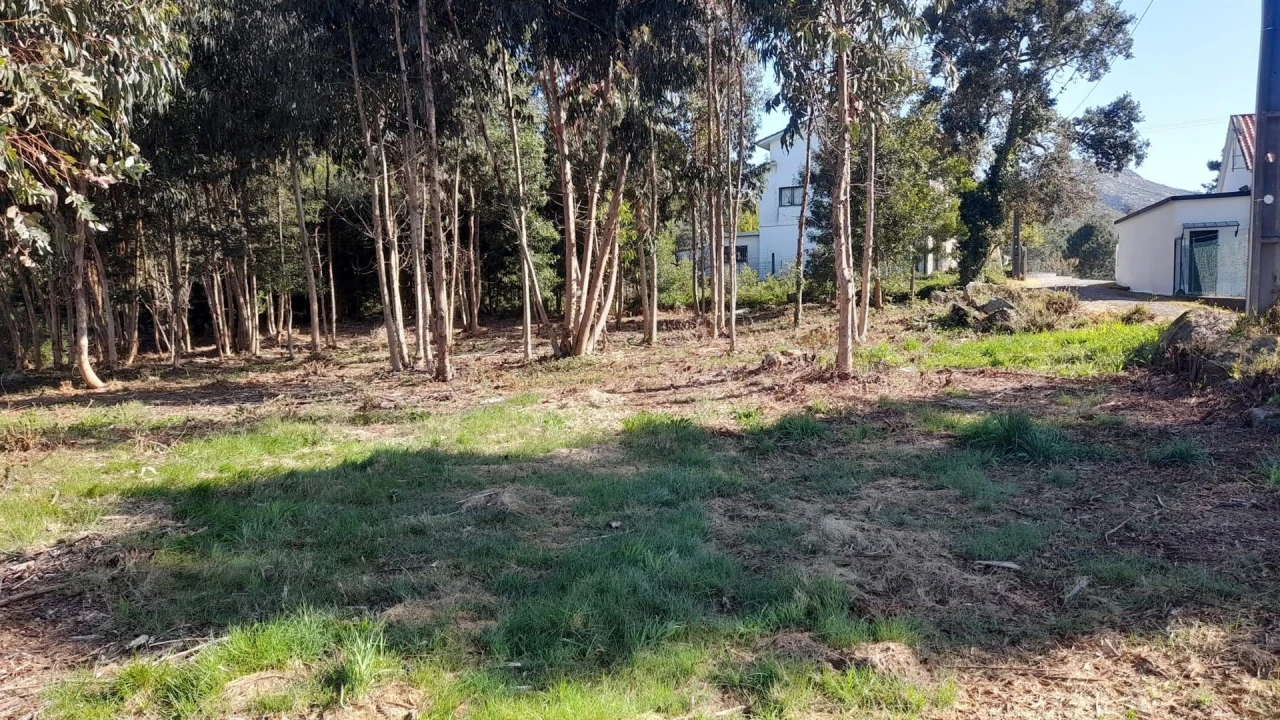 Terreno para Venda em Vilar de Mouros Foto 17